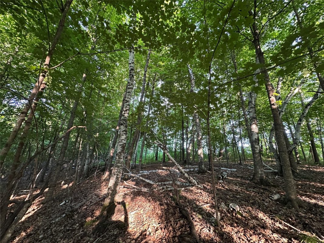 15.01 Acres 160th Avenue, Maiden Rock WI 54750 - Land house for sale - MLS #1604580 - image25