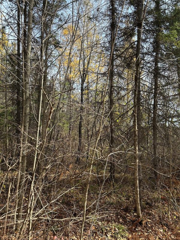 On Sheep Camp Road, Ladysmith WI 54848 - Land house for sale - MLS #1605075 - image7
