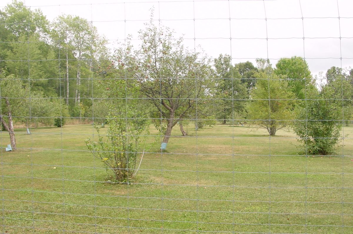 N5391 Hwy. 73, Ingram WI 54526 - Residential house for sale - MLS #1604886 - image43