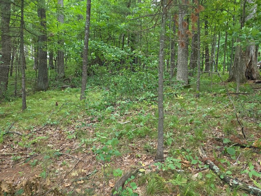 000 4th, Cumberland WI 54829 - Land house for sale - MLS #1606062 - image9