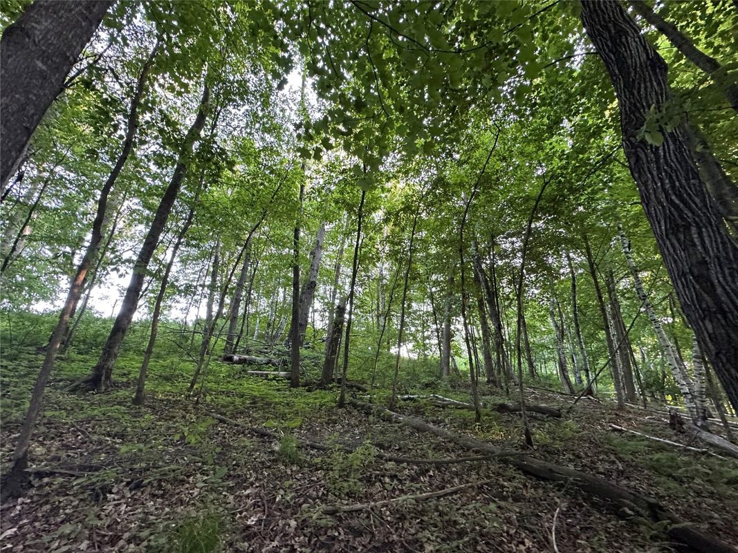 15.01 Acres 160th Avenue, Maiden Rock WI 54750 - Land house for sale - MLS #1604580 - image32