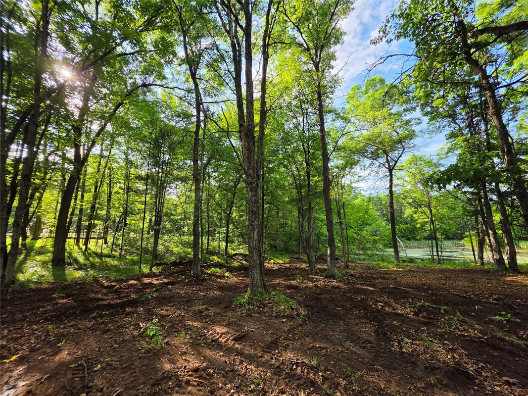 27646 295th (Lot 14) Avenue, Holcombe WI 54745 - Land house for sale - MLS #1602155 - image7