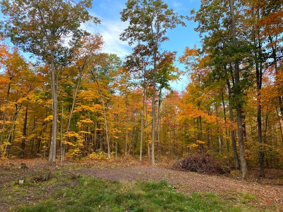 15846 Pank Road, Stone Lake WI 54876 - Land house for sale - MLS #1599821 - image1