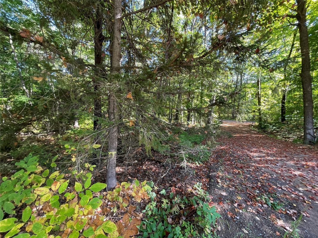 6073 Elsie Road, Stone Lake WI 54876 - Land house for sale - MLS #1602616 - image44
