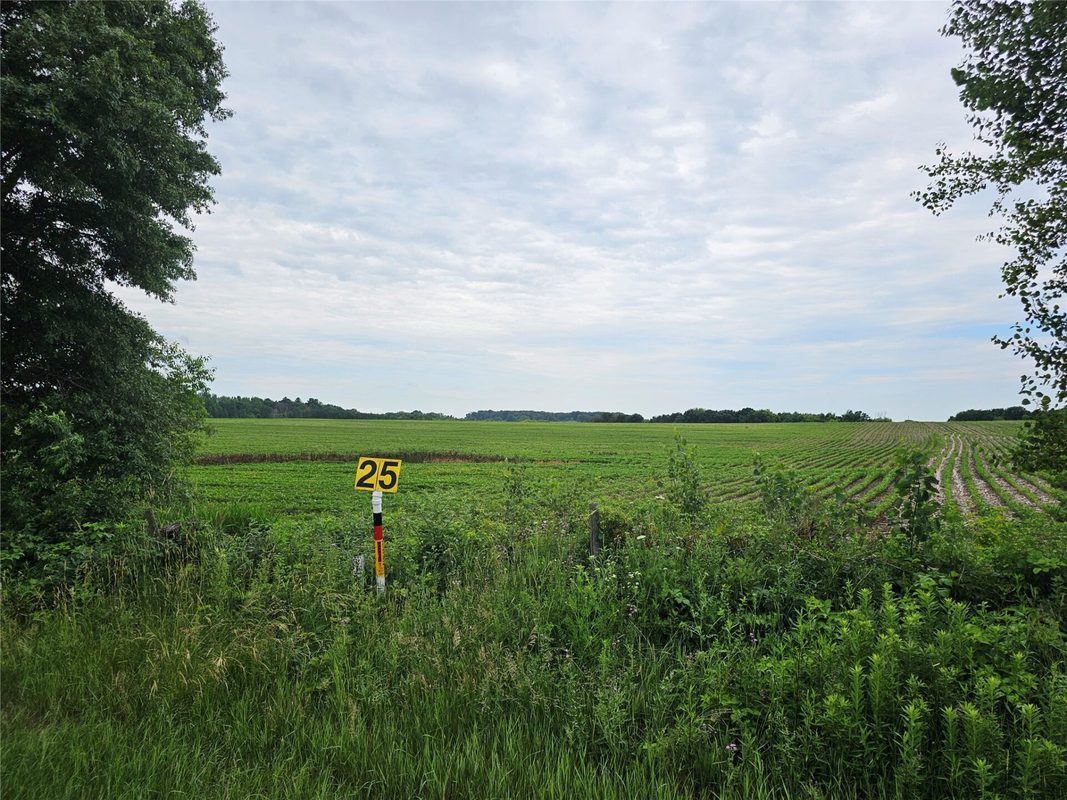 40 Acres County Road, River Falls WI 54022 - Land house for sale - MLS #1602871 - image4