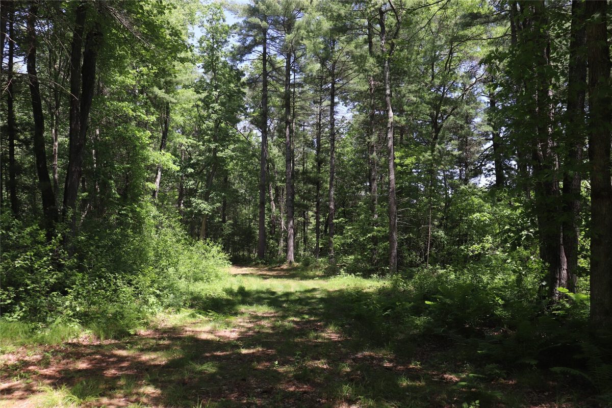N7280 Waters Edge Road, Black River Falls WI 54615 - Residential house for sale - MLS #1601969 - image32