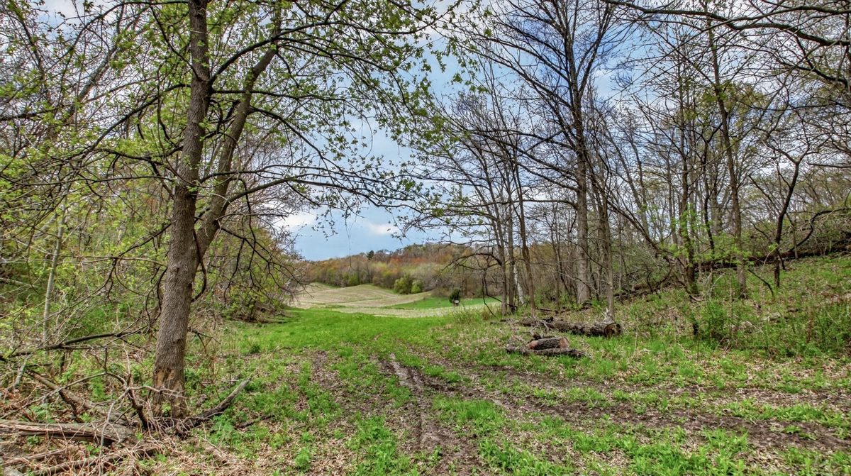 N9370 County Road P, Blair WI 54616 - Residential house for sale - MLS #1600694 - image48
