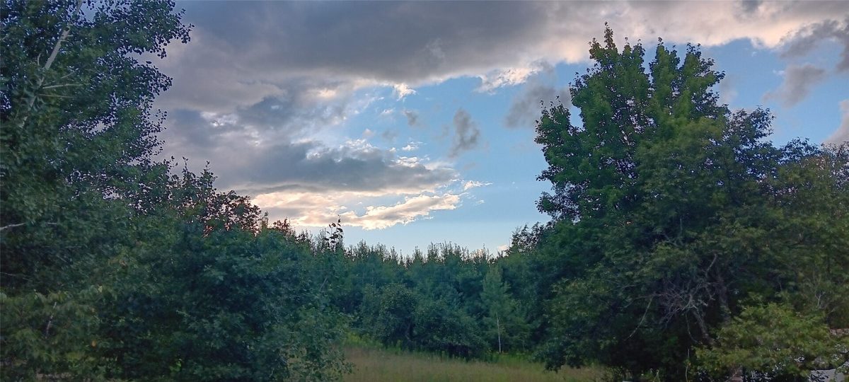 11116 Blackberry Road, Trego WI 54888 - Land house for sale - MLS #1601881 - image26