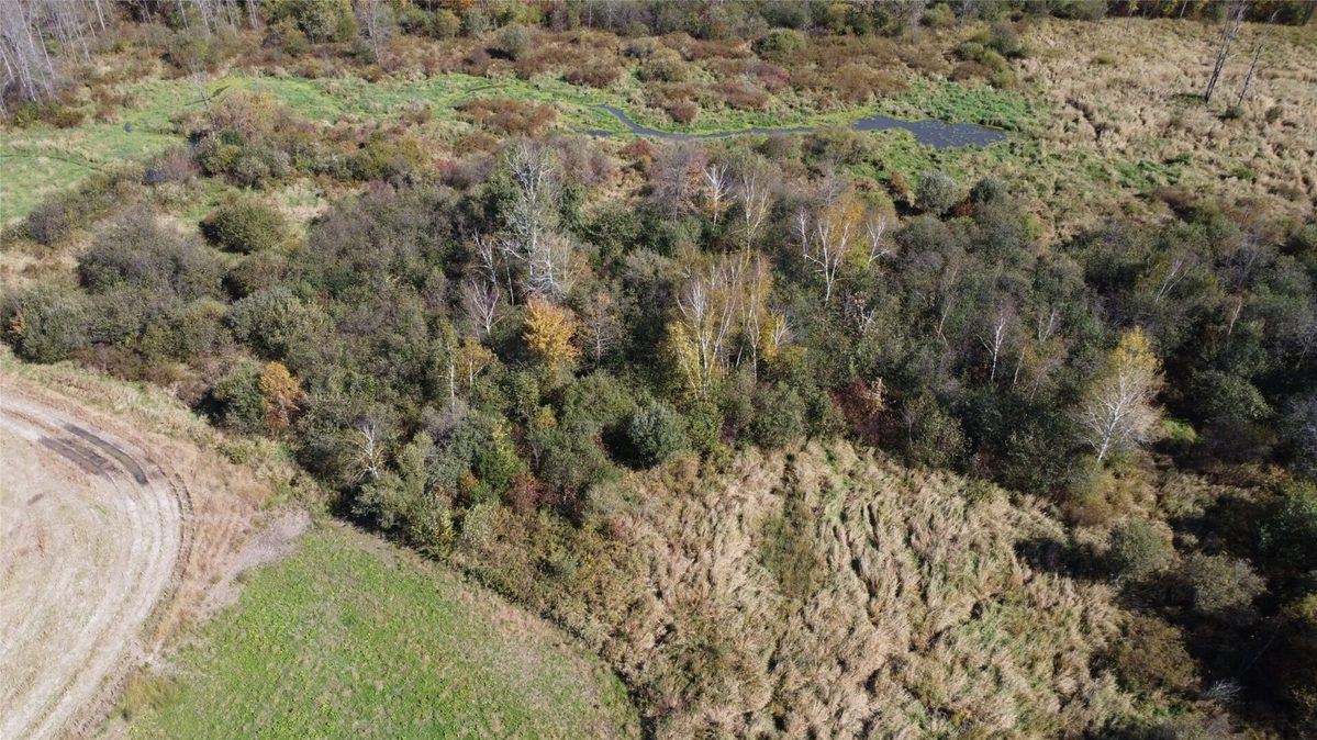 OOO Richfield Wood Road, Arpin WI 54410 - Land house for sale - MLS #1605936 - image6