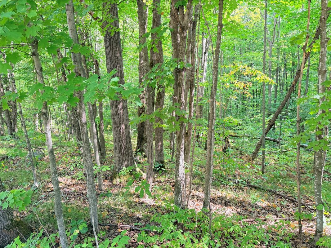 30 Acres County Highway X, Glen Flora WI 54526 - Land house for sale - MLS #1605967 - image22