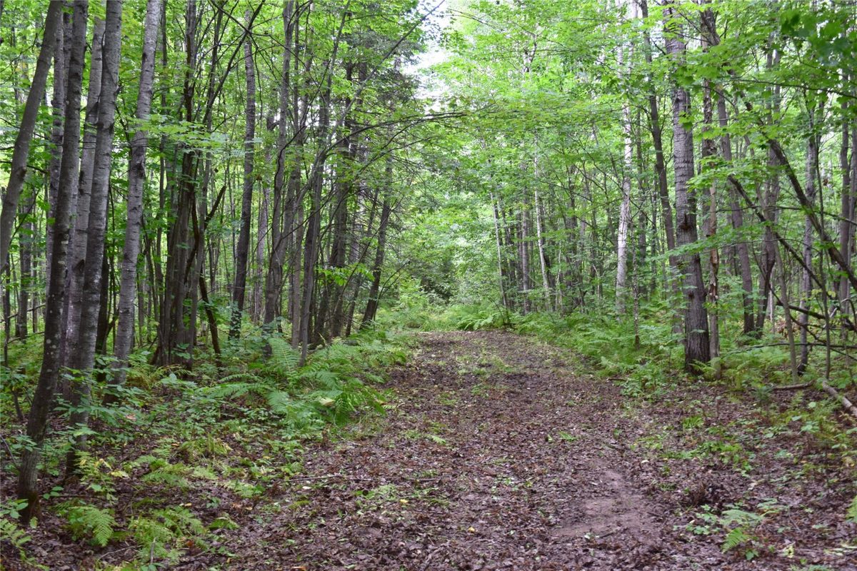 26615 Star Route Road, Bayfield WI 54814 - Land house for sale - MLS #1604800 - image44