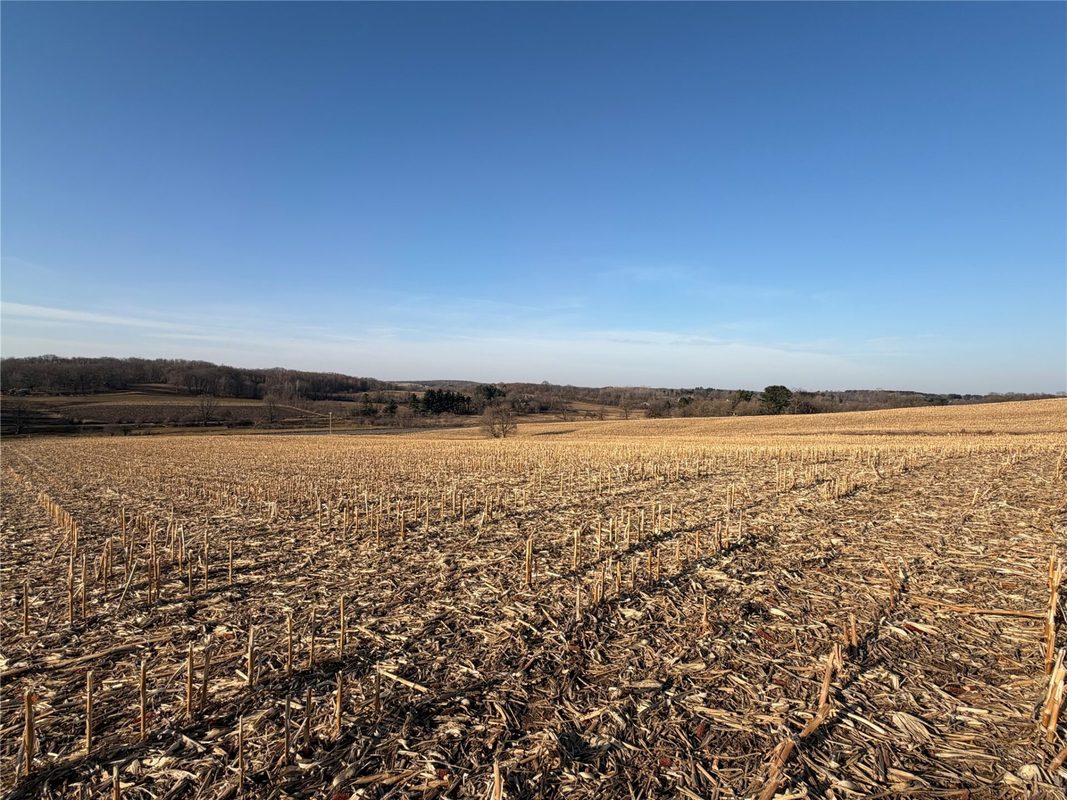 15 Acres County Highway G, Glenwood City WI 54013 - Land house for sale - MLS #1599626 - image6