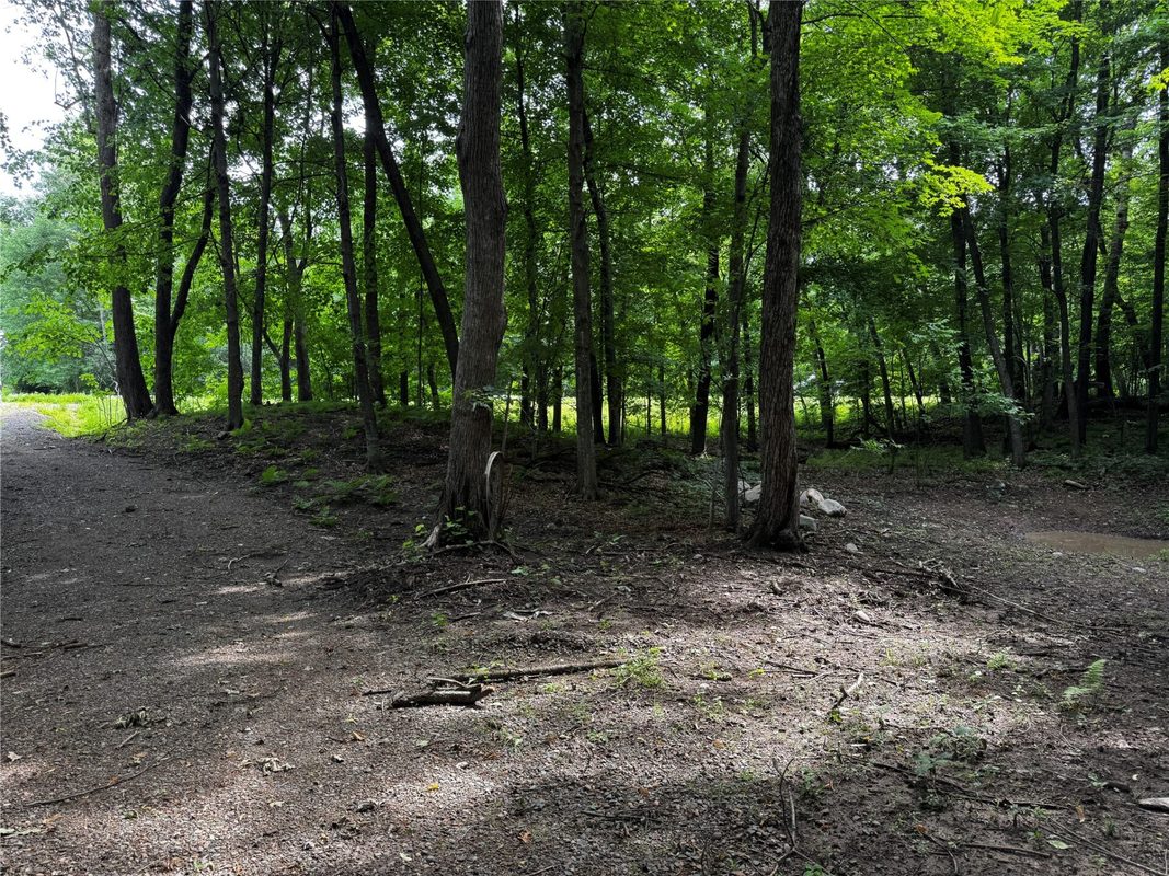 XXX County Road I, Balsam Lake WI 54810 - Land house for sale - MLS #1602879 - image7