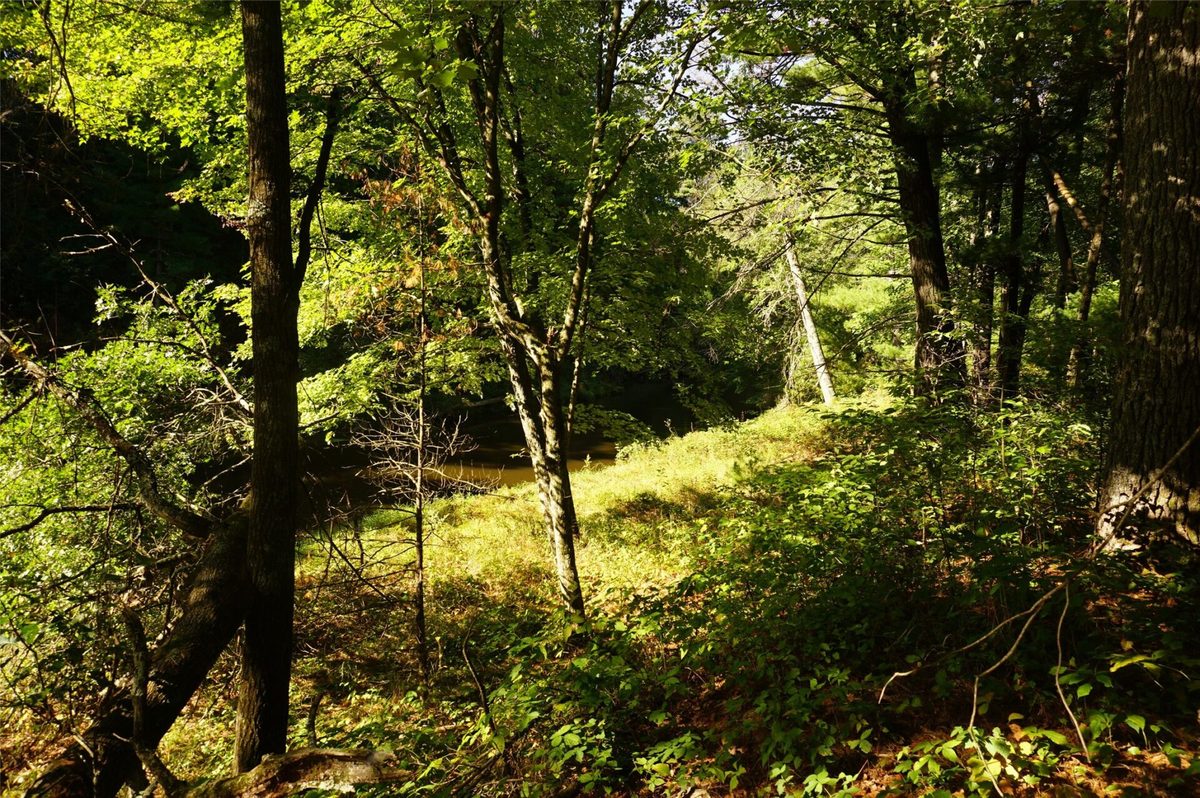 N9105 Flood -- Lot 5 Road, Black River Falls WI 54615 - Land house for sale - MLS #1605206 - image15