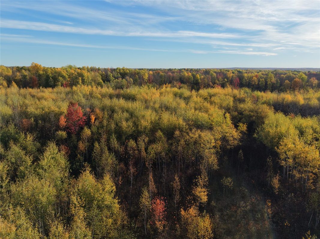 On County Highway W, Winter WI 54896 - Land house for sale - MLS #1605419 - image32