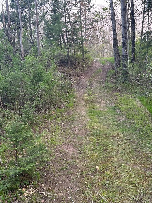 12493 State Highway 27/70, Couderay WI 54828 - Residential house for sale - MLS #1601492 - image37