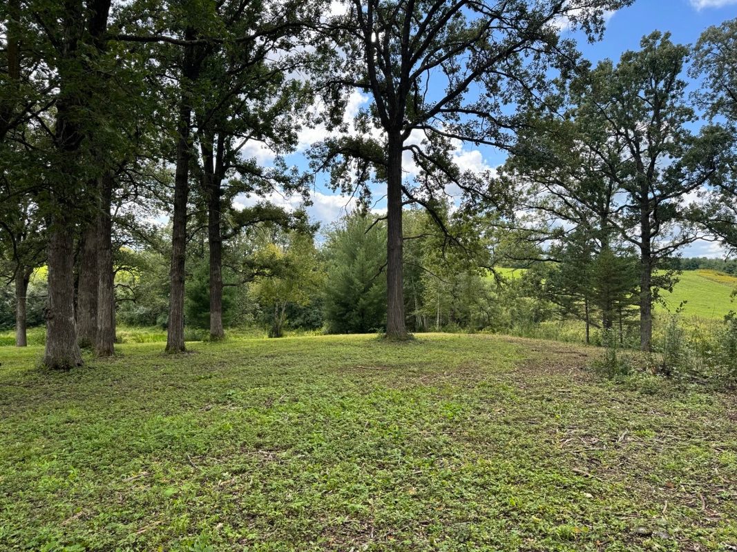 Lot 28 21st Street, Rice Lake WI 54868 - Land house for sale - MLS #1603229 - image4