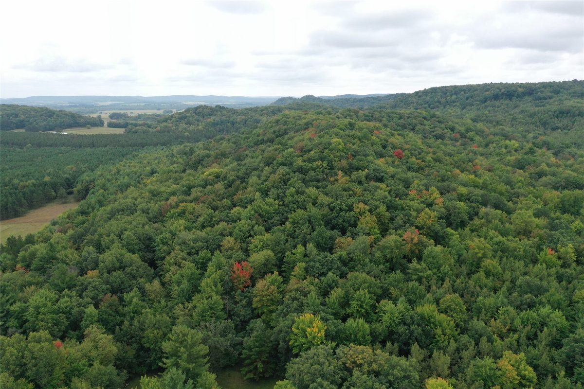 W02 State Highway 64, Colfax WI 54730 - Land house for sale - MLS #1604529 - image45