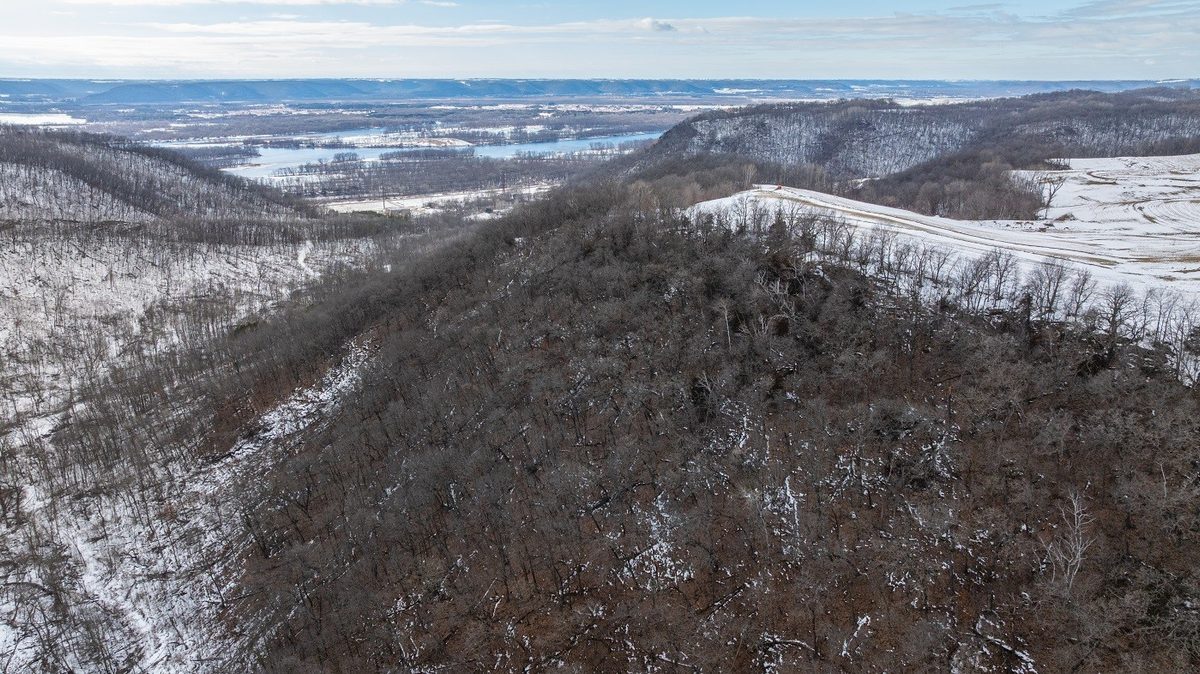 0 Maplewood Lane Alma WI 54610 — photo 10