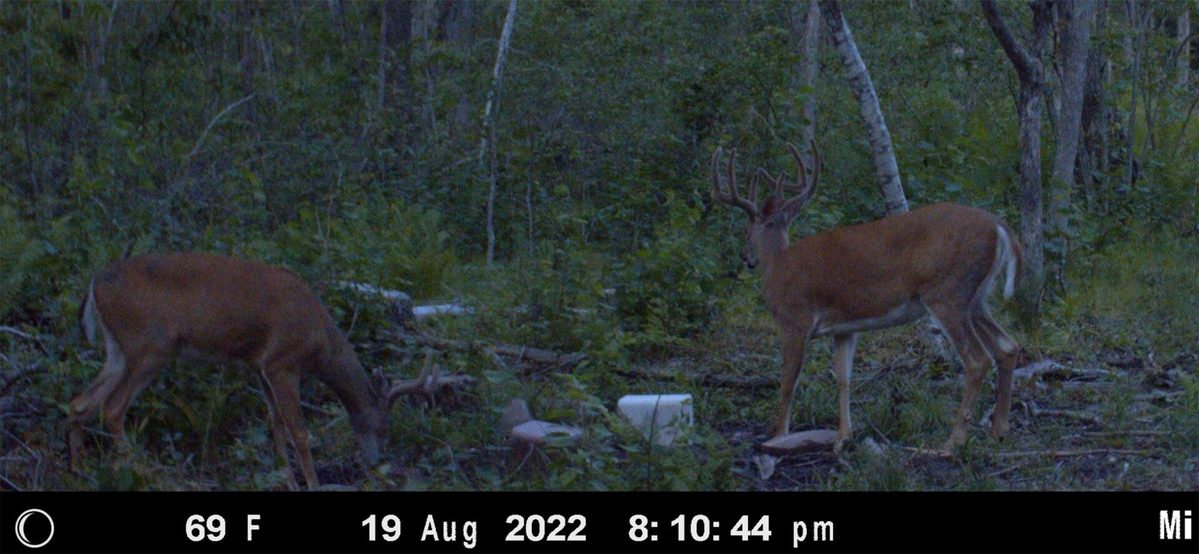 0 County Highway C, Rice Lake WI 54868 - Land house for sale - MLS #1605929 - image11