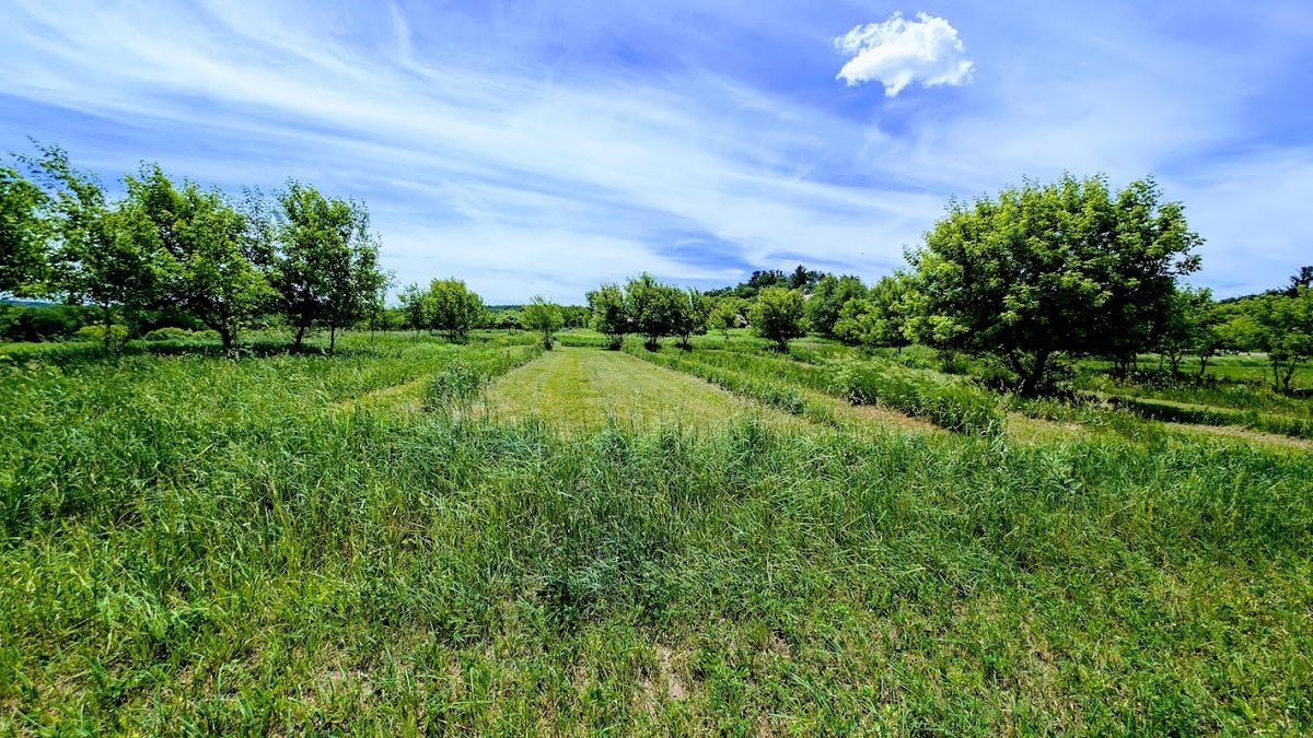 407 23rd Street, Chetek WI 54728 - Residential house for sale - MLS #1602559 - image57