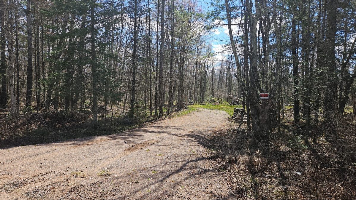 12331 W Delap Lane, Couderay, WI — photo 2