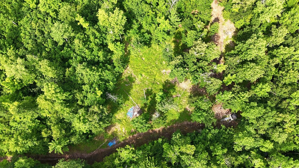 XXX Eckel Lane, Couderay WI 54835 - Land house for sale - MLS #1603143 - image18