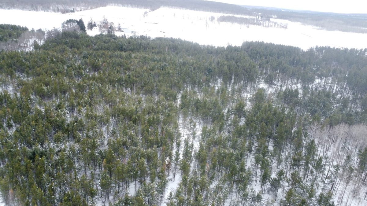 N 6319 Peace Lane, Spooner WI 54801 - Land house for sale - MLS #1599916 - image2