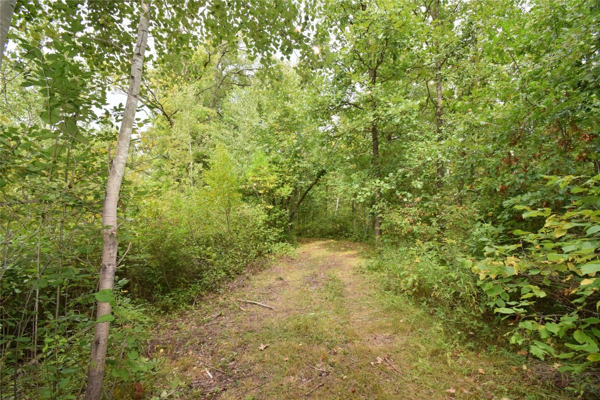 TBD State Highway 77, Danbury WI 54830 - Land house for sale - MLS #1604768 - image29