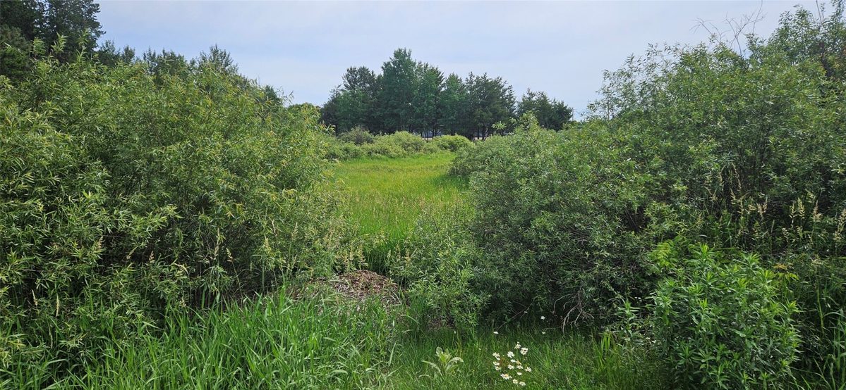 Lot B Windrose Lane, Hayward WI 54843 - Land house for sale - MLS #1602939 - image3