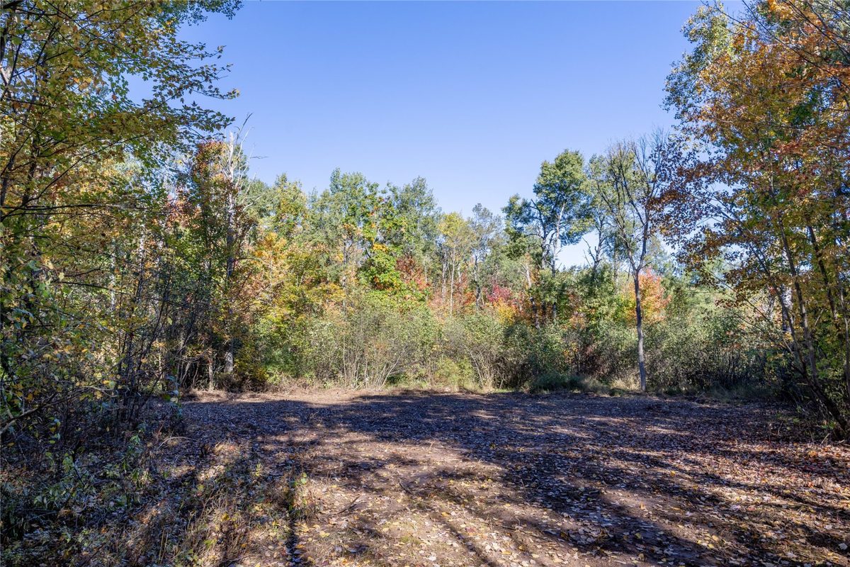 5 Acres Aggie Lane, Ladysmith WI 54848 - Land house for sale - MLS #1605699 - image8