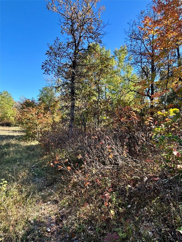 9524 Bergin Springs Road, Solon Springs WI 54873 - Land house for sale - MLS #1605714 - image15