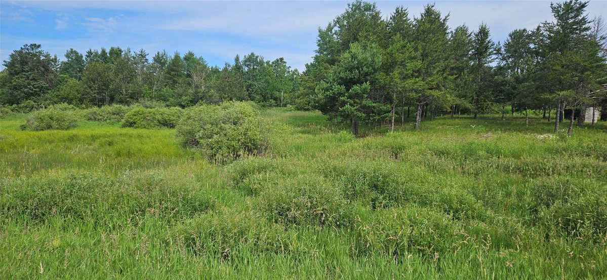 Lot A Windrose Lane, Hayward WI 54843 - Land house for sale - MLS #1602934 - image10