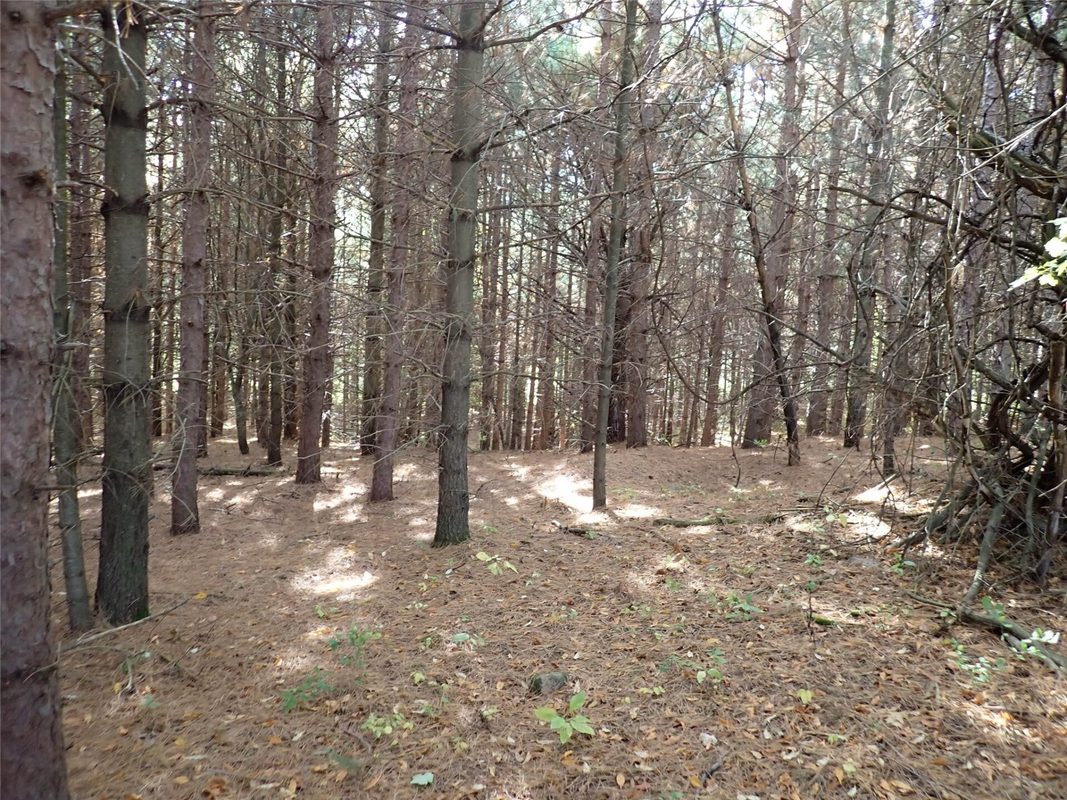 70.54 acres 26 1/2 St, Cumberland WI 54829 - Land house for sale - MLS #1605975 - image9