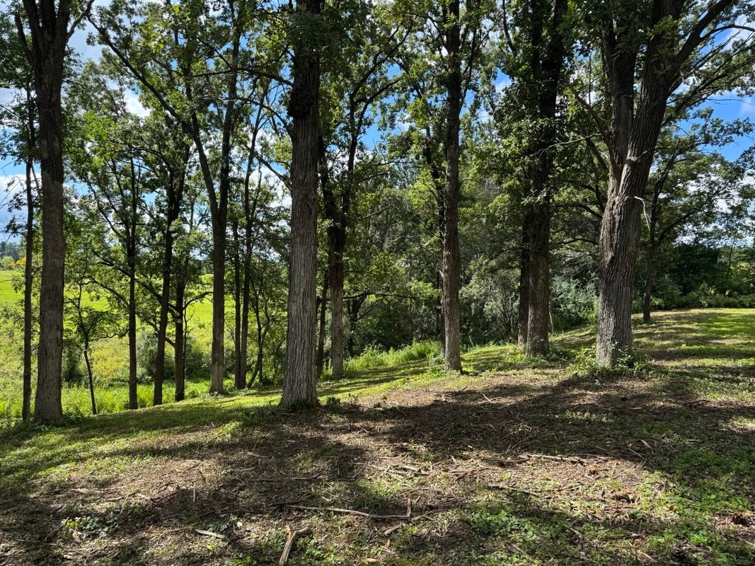 Lot 28 21st Street, Rice Lake WI 54868 - Land house for sale - MLS #1603229 - image12