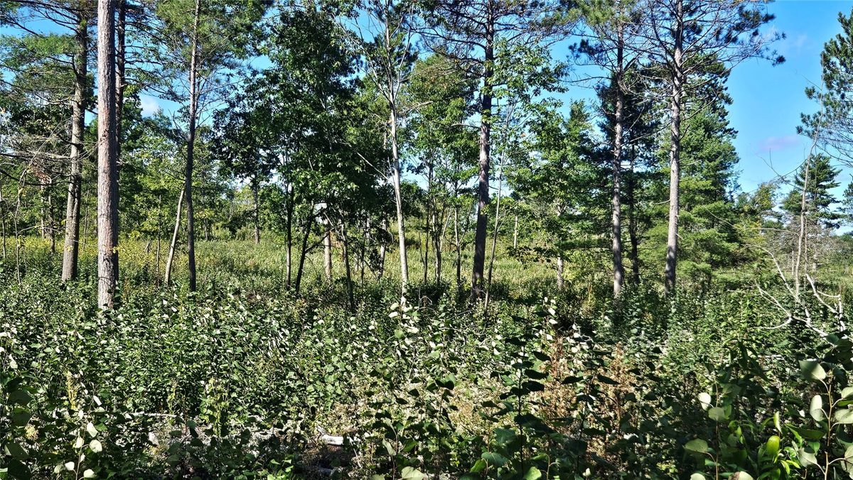 1-7 Larson Road, Hayward WI 54843 - Land house for sale - MLS #1605167 - image12