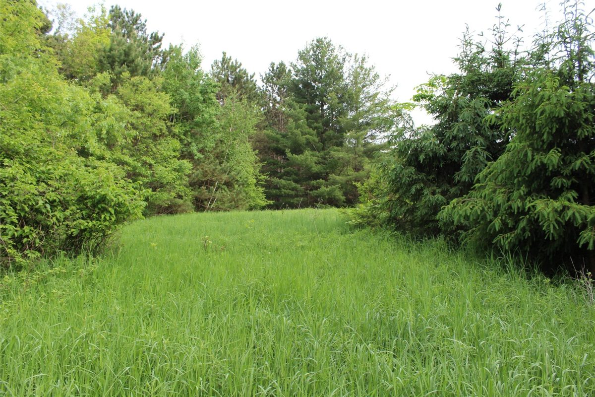, Humbird WI 54746 - Residential house for sale - MLS #1602650 - image12