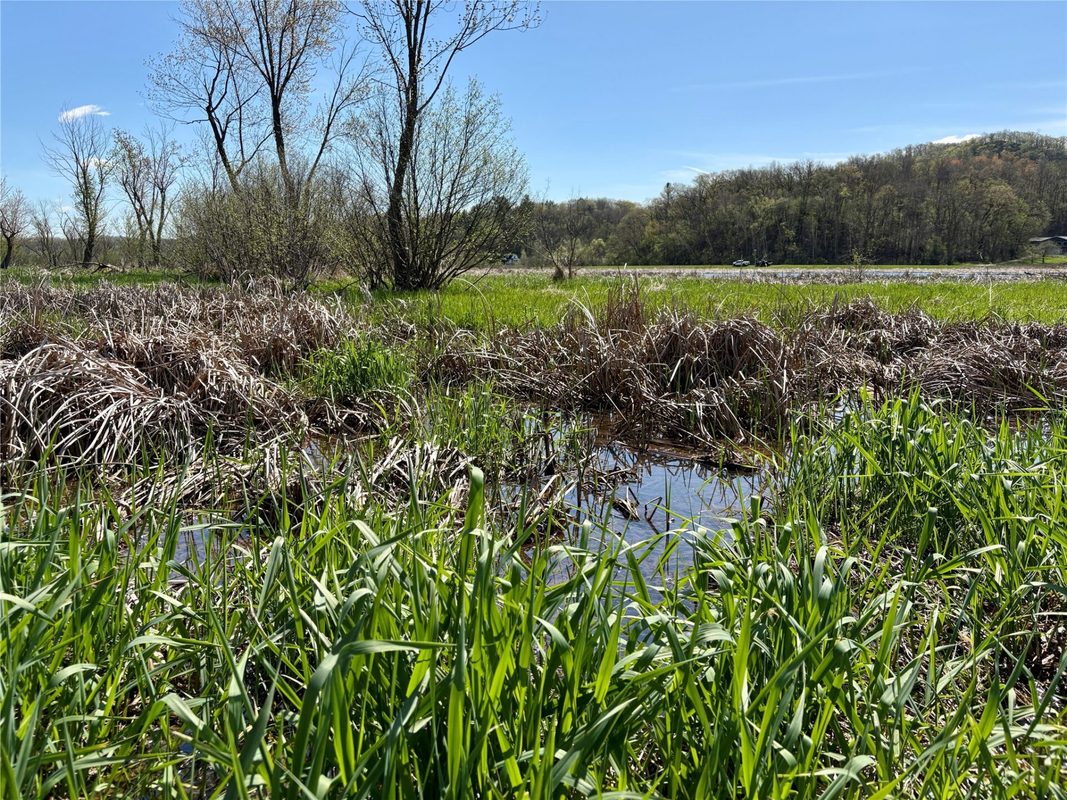 0 Hwy 37, Alma, WI — photo 26