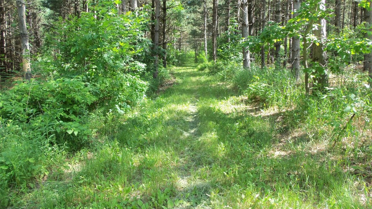 XXX Bashaw Store Road, Shell Lake WI 54871 - Land house for sale - MLS #1603494 - image5