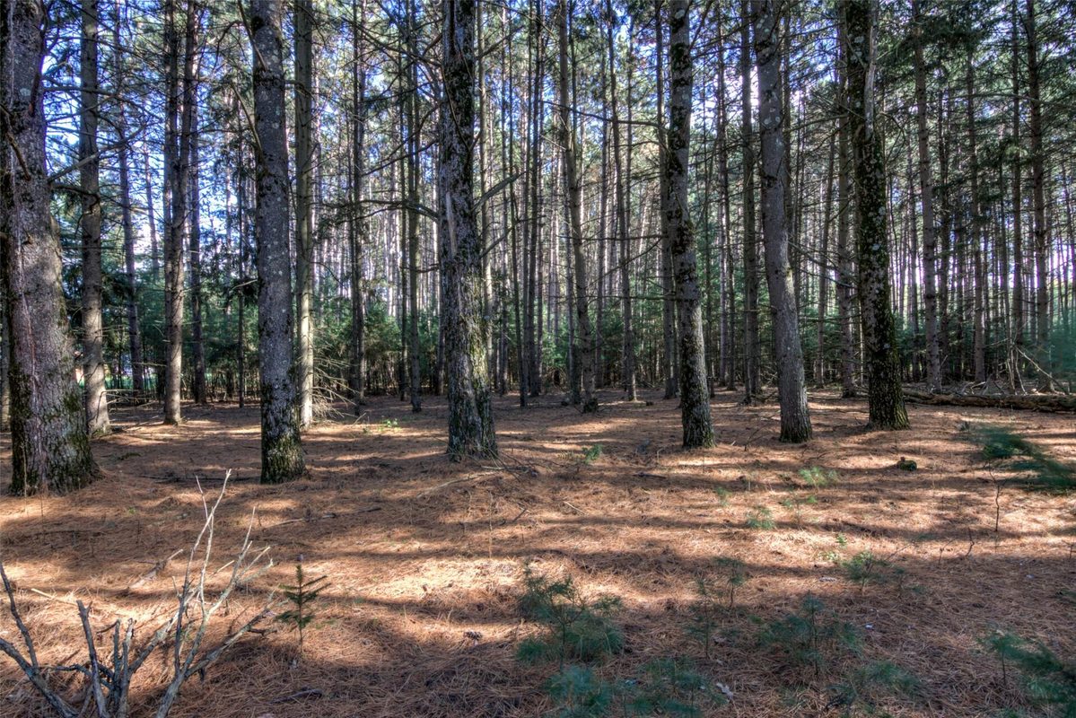 7180 Nine Mile Creek Road, Eau Claire, WI — photo 59