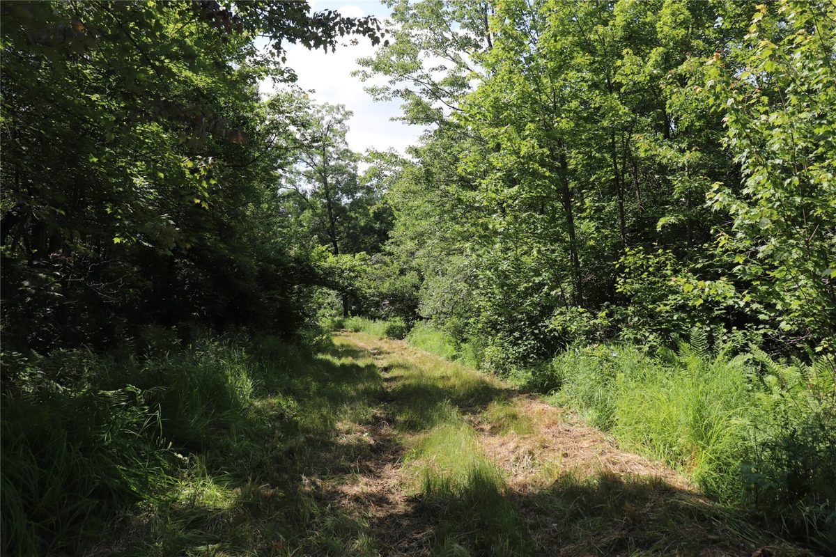 S11305 Kempton Road, Augusta WI 54722 - Land house for sale - MLS #1602723 - image56