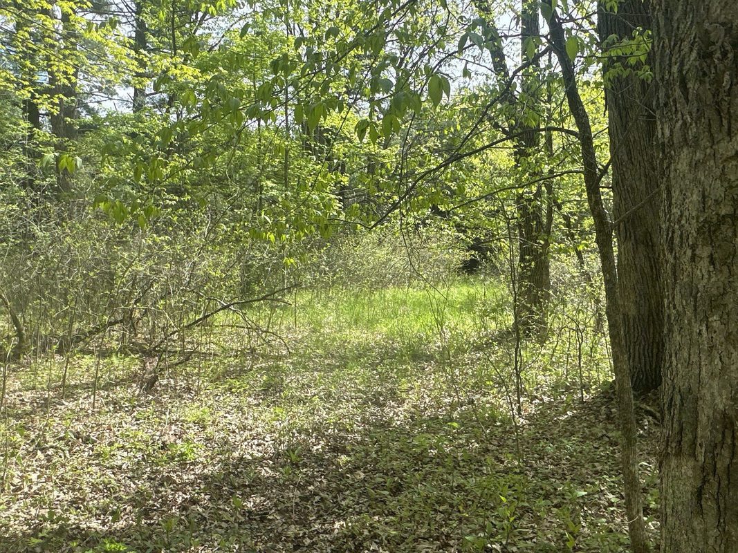 25275 Bruss Road, Webster WI 54893 - Land house for sale - MLS #1602158 - image18