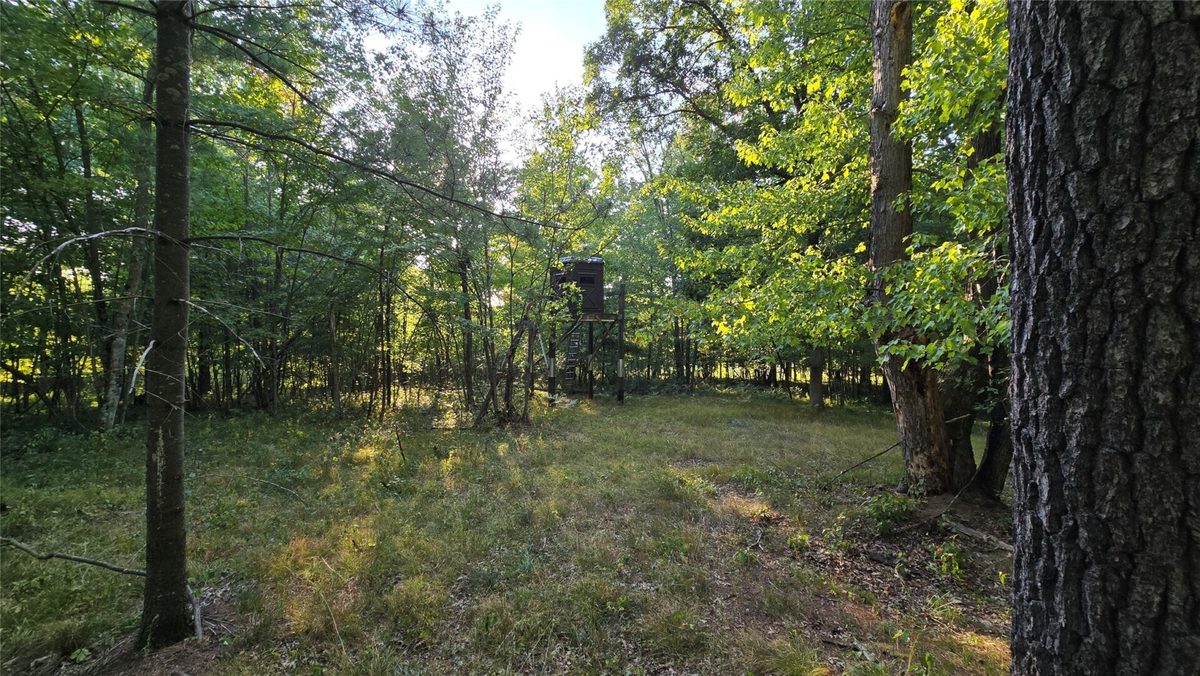 W02 State Highway 64, Colfax WI 54730 - Land house for sale - MLS #1604529 - image19