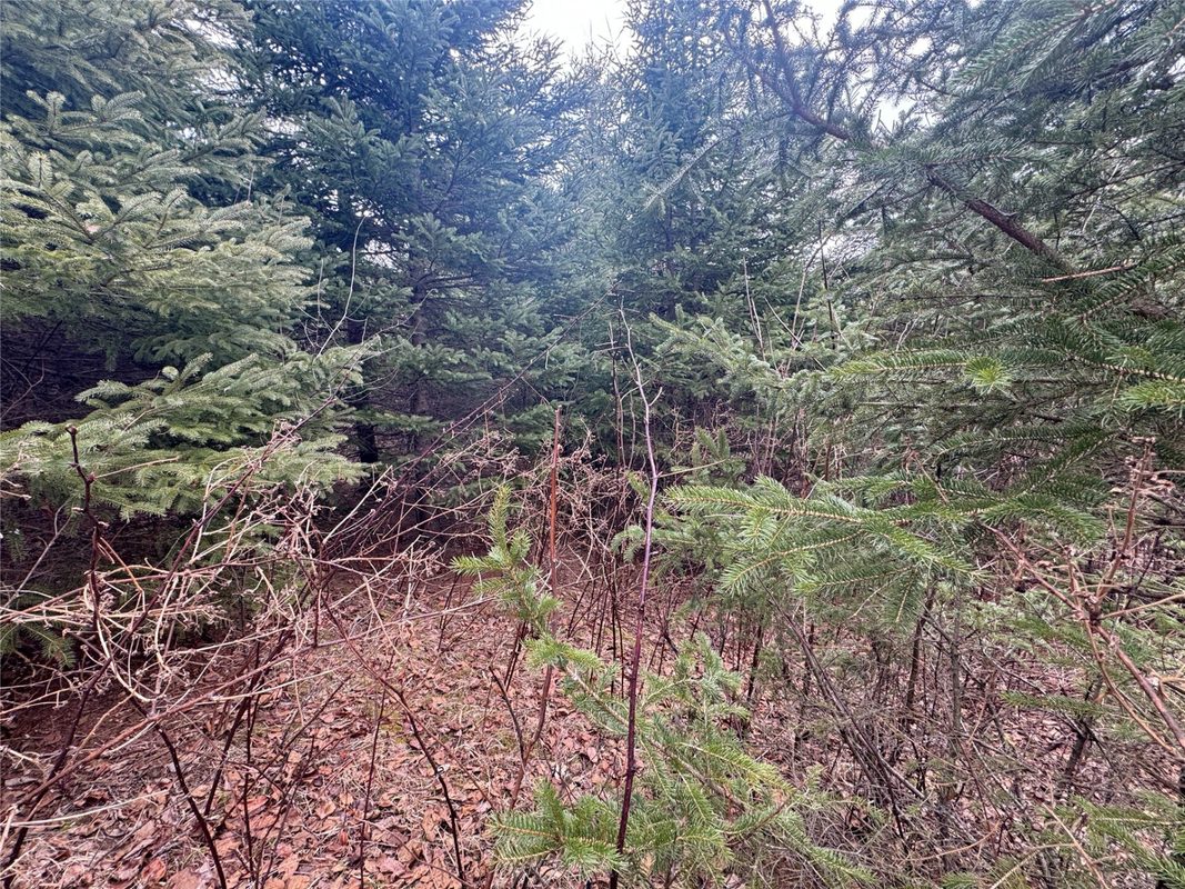W1310 Earney Road, Alma WI 54610 - Residential house for sale - MLS #1604945 - image34