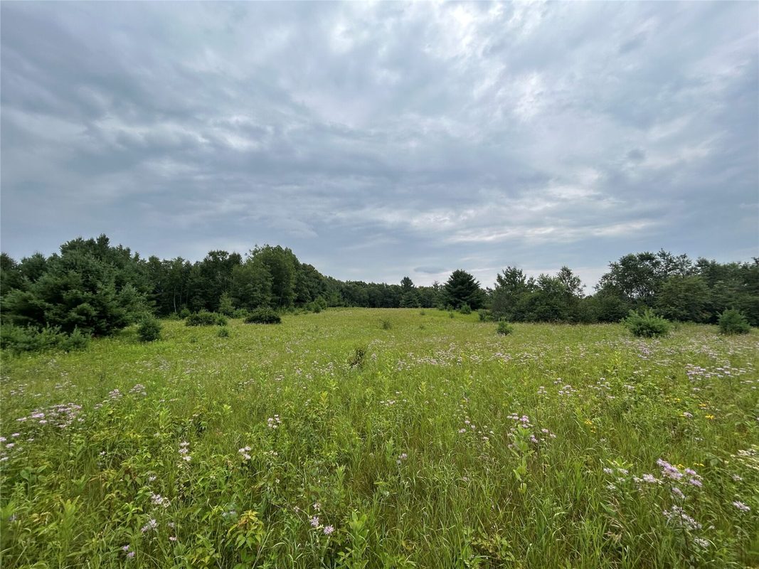 On Strabel Road, Stone Lake WI 54876 - Land house for sale - MLS #1604177 - image19