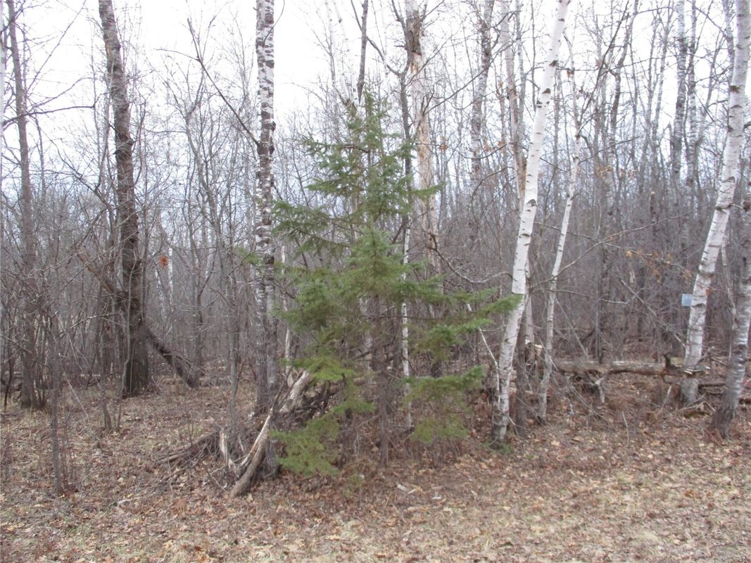 Lot #24 28 11/16 Street, Birchwood WI 54817 - Land house for sale - MLS #1599869 - image3