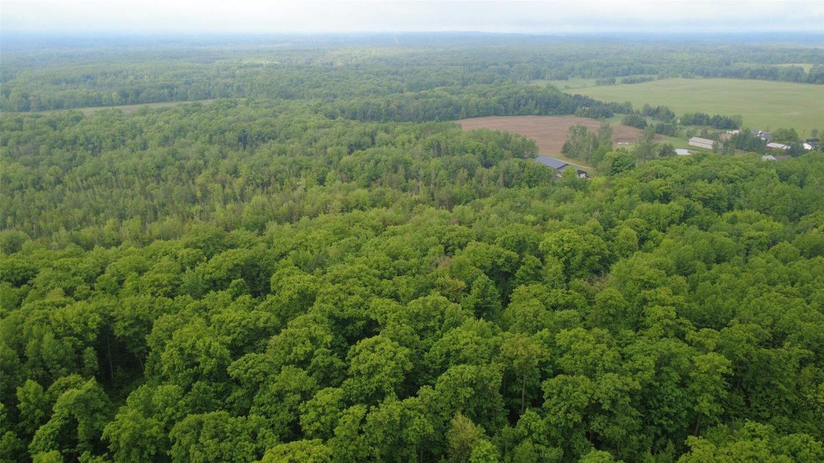 000 Boundary Road, Ringle WI 54471 - Land house for sale - MLS #1602183 - image18
