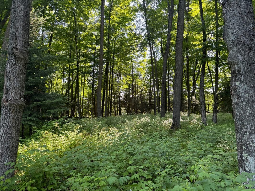 Lot 8 Crane Lane, Hayward WI 54843 - Land house for sale - MLS #1603375 - image14