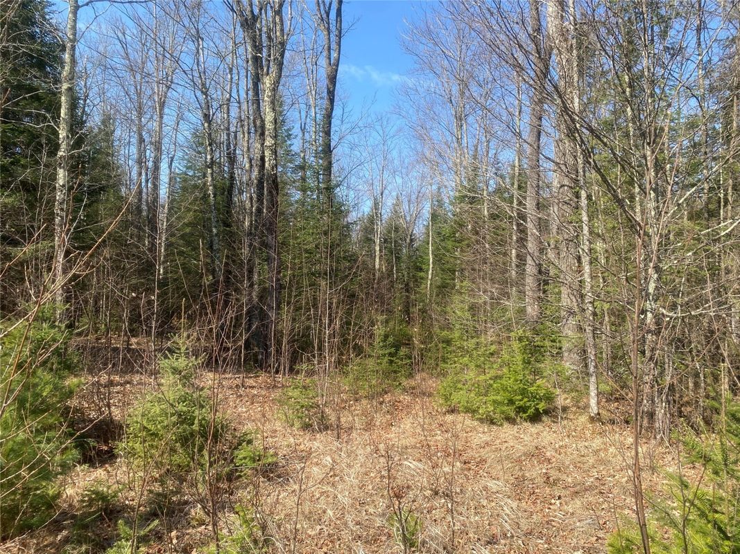 ON CTH F Park Falls WI 54552 — photo 7