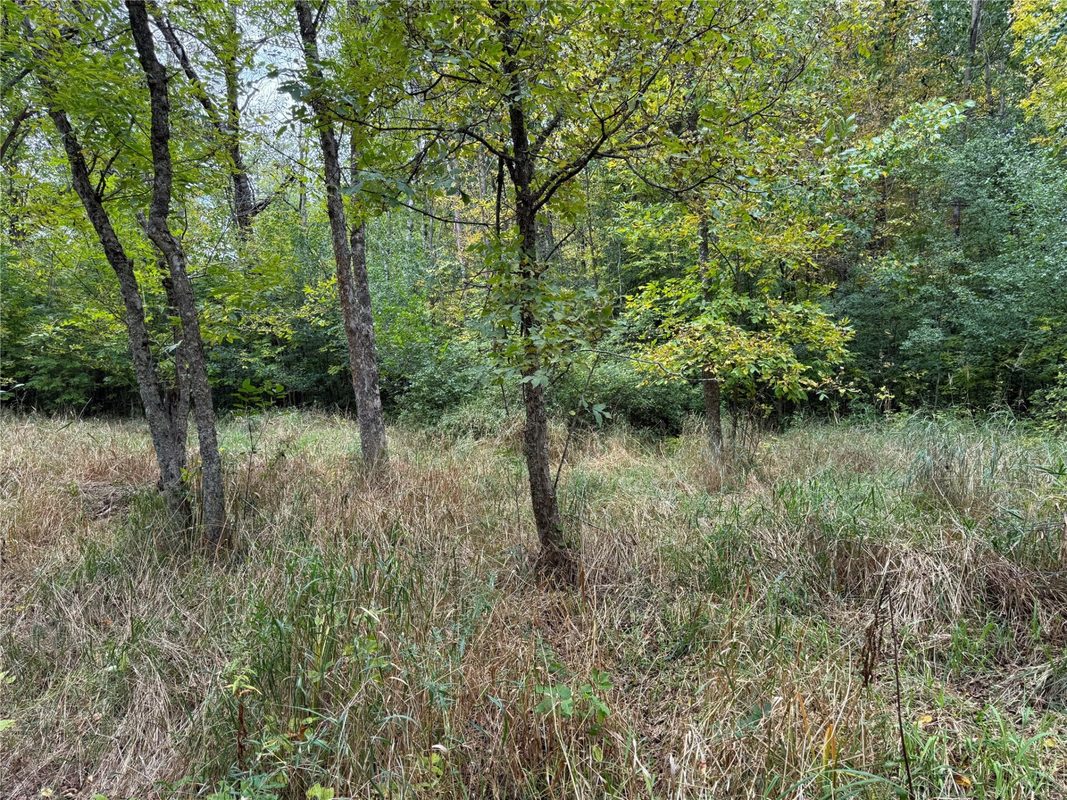 XXX 23 1/2 Street, Rice Lake WI 54868 - Land house for sale - MLS #1605312 - image26